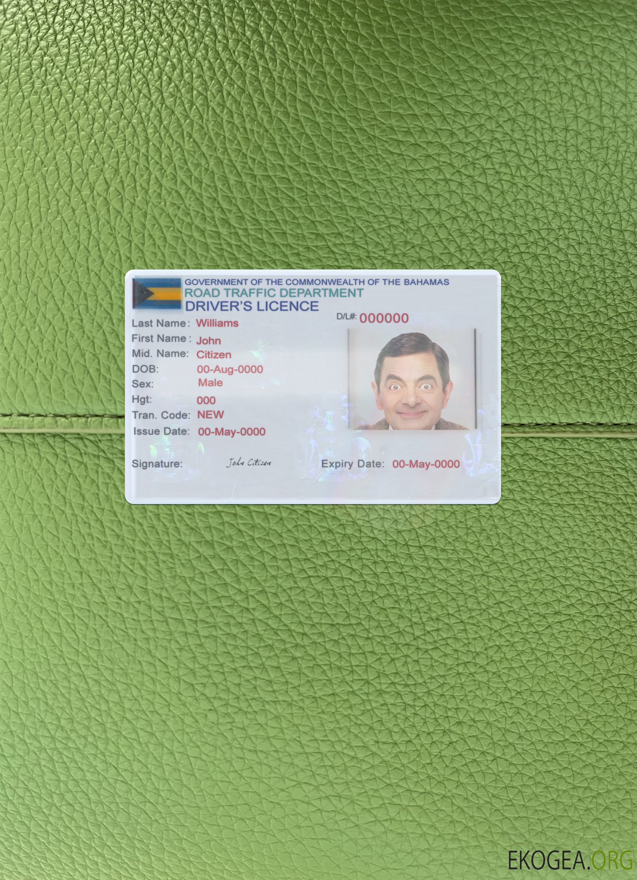 Bahamas driving license photolook front